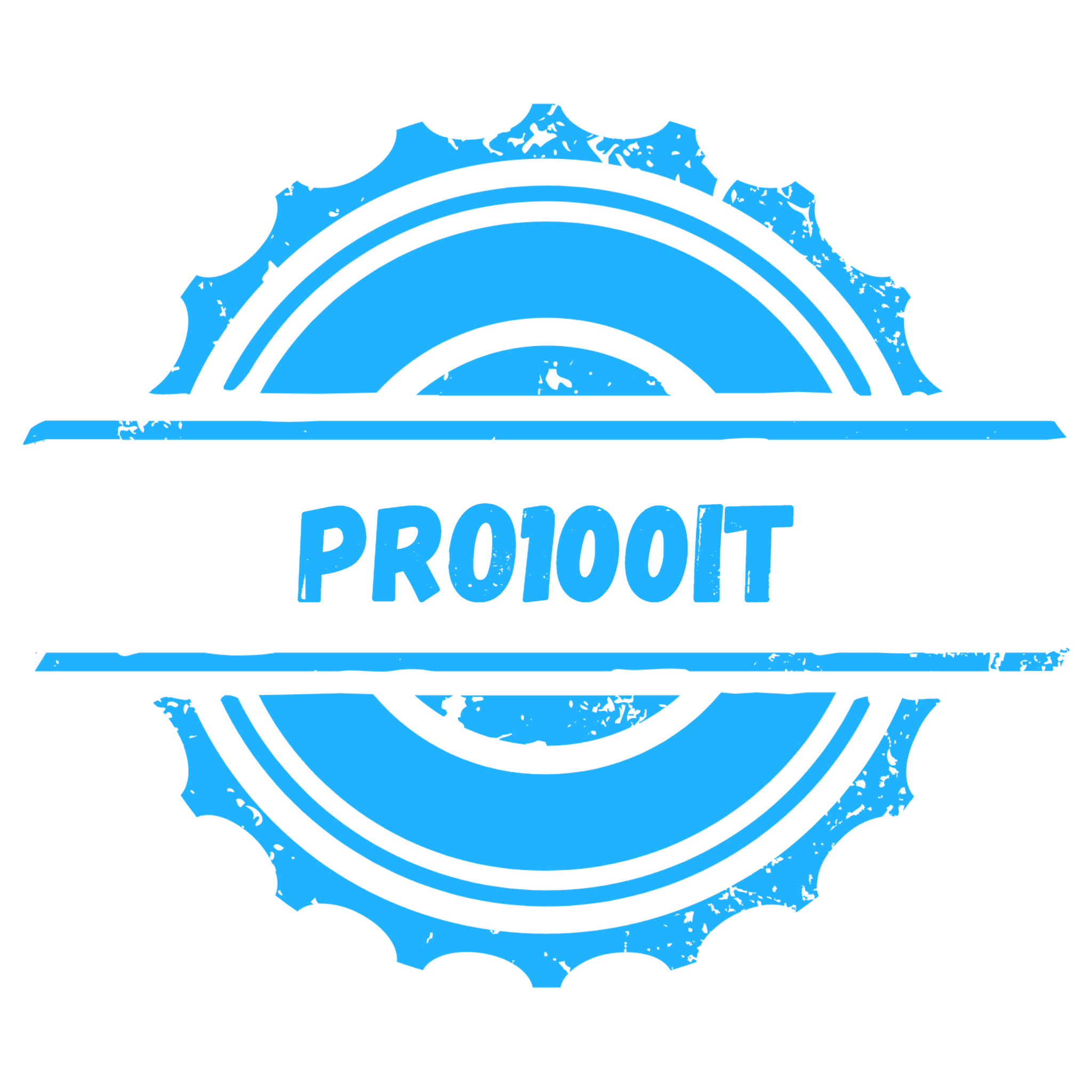 PRO100IT